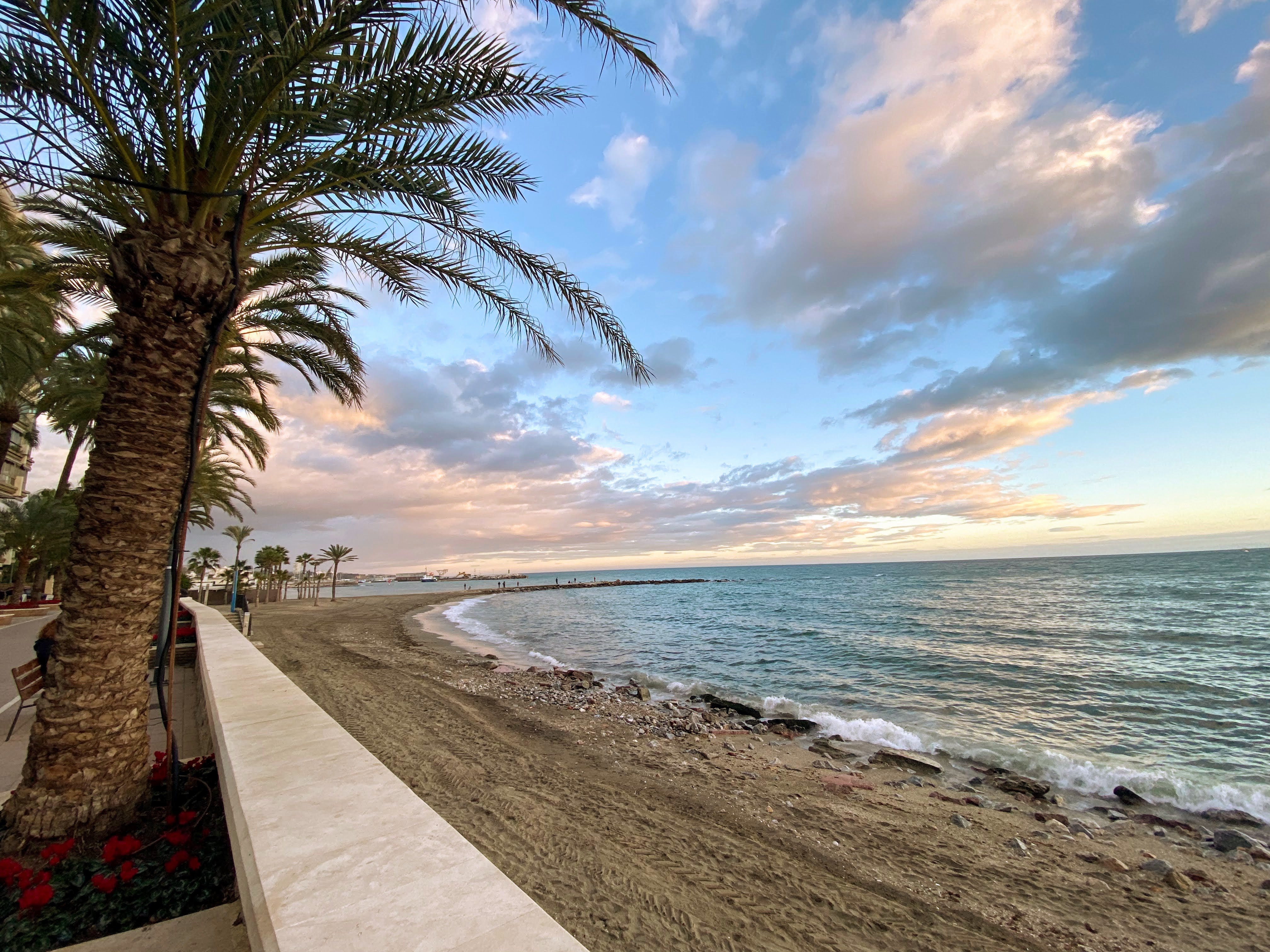 Marbella coastline is palm trees, sun, sea and sand