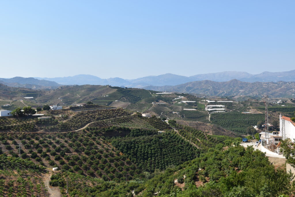 Scenic agricultural landscape with traditional vineyard hillsides in the Axarquia region near Iznate.