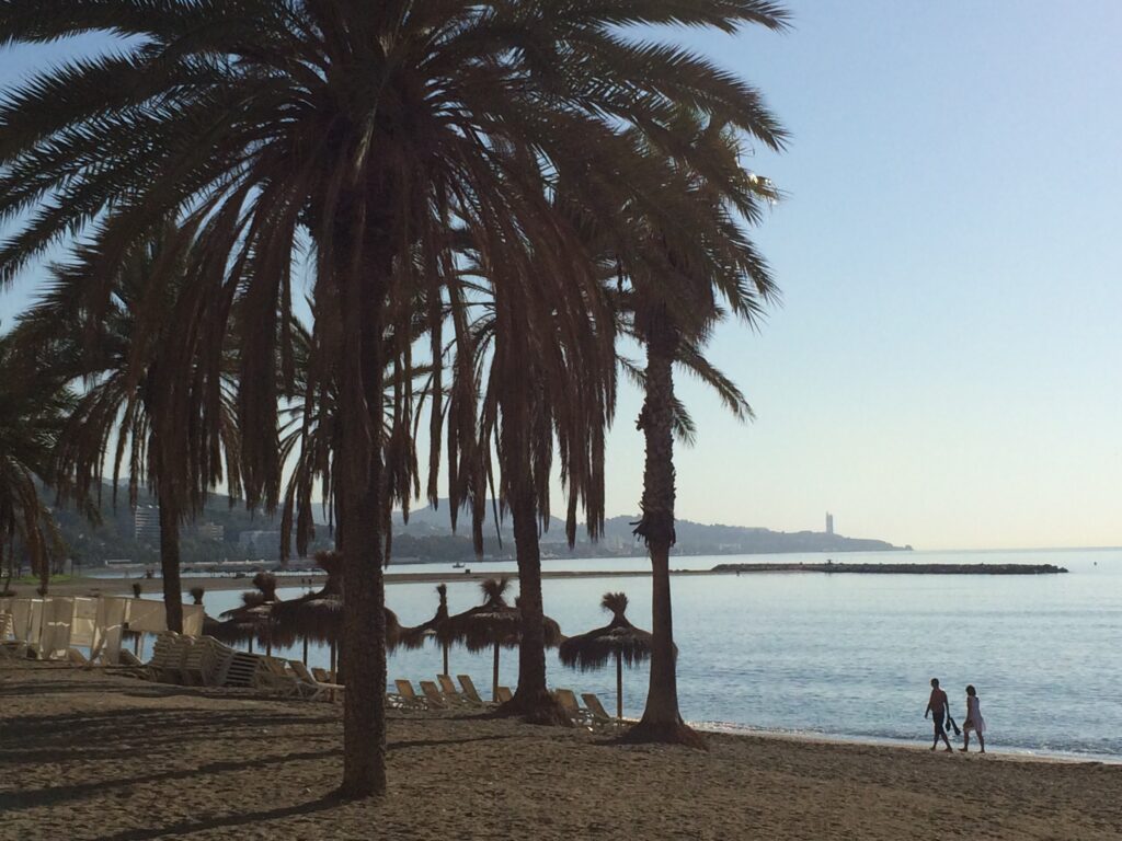 Fringe of palm trees along a wide sandy beach on the vibrant Malaga coastline.