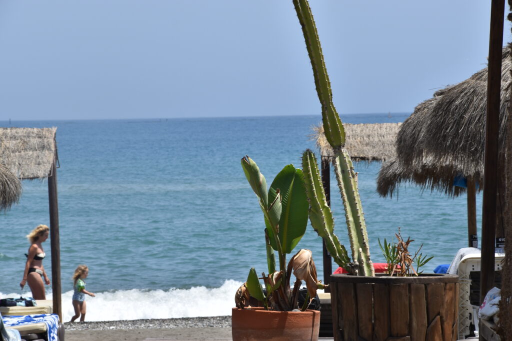 A large green cactus in the foreground overlooking a sandy beach with thatched umbrellas, sunbeds, and people enjoying the blue Mediterranean sea in Andalusia.